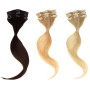 2 - DIBIASEHAIR EXTENSION FAI DA TE CAPELLI LISCI TRE CLIPS