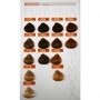TOCCO MAGICO SHAMPOO COLORANTE REVIVE 0Toccomagico